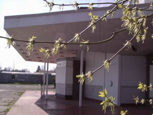 Cinema City Warren - From John Sarver (newer photo)